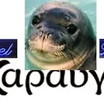 Haravgi Patitiri (Alonnisos)