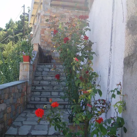 Hotel Haravgi 2*