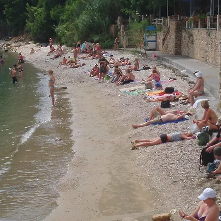 χαραυγή Πατητήρι